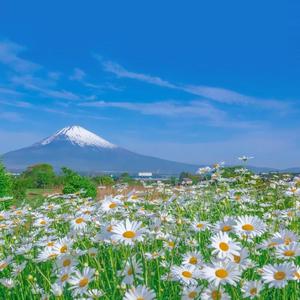 大胸❌挤奶❌❌狂揉
