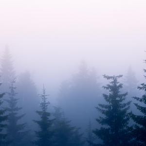 大胸❌挤奶❌❌狂揉
